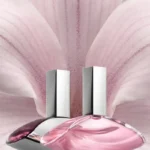 CALVIN KLEIN EUPHORIA EDP D 50ML