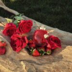 COACH LOVE EDP D 30ML COACH LOVE EDP D 30ML