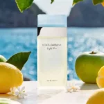 DOLCE GABBANA LIGHT BLUE EDT D 50ML NEW DOLCE GABBANA LIGHT BLUE EDT D 50ML NEW