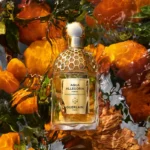 GUERLAIN AQUA ALLEGORIA FORTE MANDARINE BASILIC EDP D 75ML GUERLAIN AQUA ALLEGORIA FORTE MANDARINE BASILIC EDP D 75ML