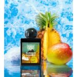 LORENZO PAZZAGLIA SUMMER HAMMER EXTRAIT DE PARFUM 50ML B.O