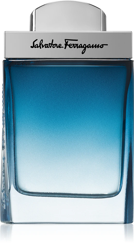SALVATORE FERRAGAMO SUBTIL EDT M 50ML SALVATORE FERRAGAMO SUBTIL EDT M 50ML