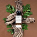 THE MERCHANT OF VENICE ACCORDI DI PATCHOULI INDONESIA EDP U 30ML B.O