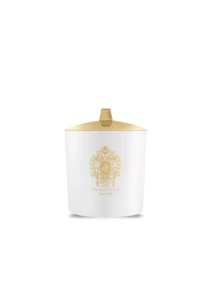 TIZIANA TERENZI SPICY SNOW WHITE GLASS CANDLE 1000ML