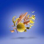 XERJOFF XXY PARFUM U 50ML XERJOFF XXY PARFUM U 50ML