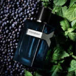 YSL Y INTENSE EDP M 100ML